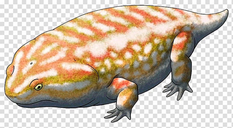 Dimetrodon Platyhystrix Temnospondyli Ctenospondylus Edaphosaurus, amphibian transparent background PNG clipart