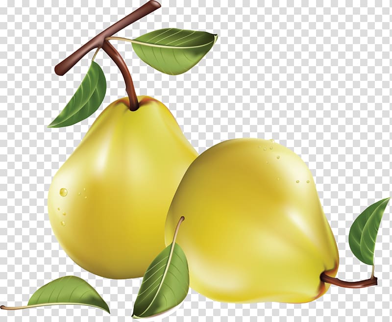 Pear , Pear transparent background PNG clipart
