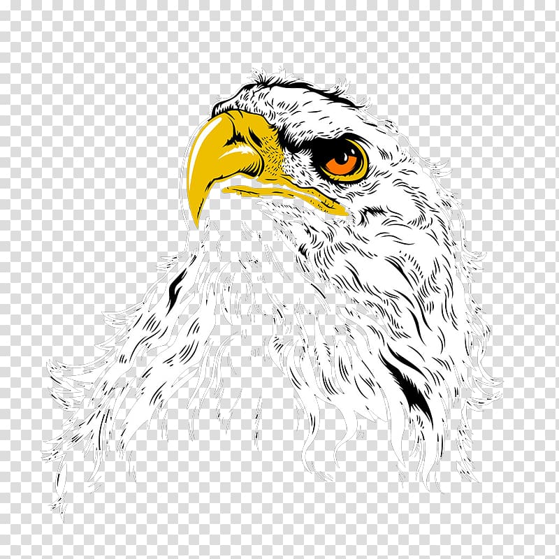 Bald Eagle Owl Hawk Illustration, Hand-painted owl transparent background PNG clipart