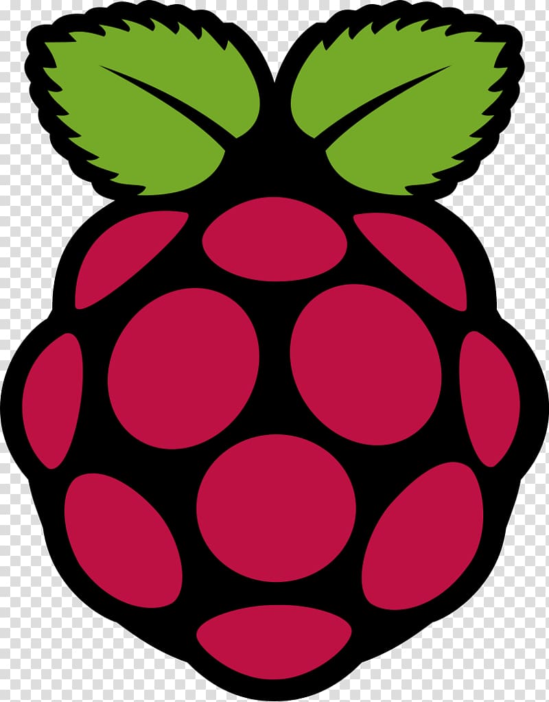 Raspberry Pi Foundation Raspbian Single-board computer Logo, raspberry transparent background PNG clipart