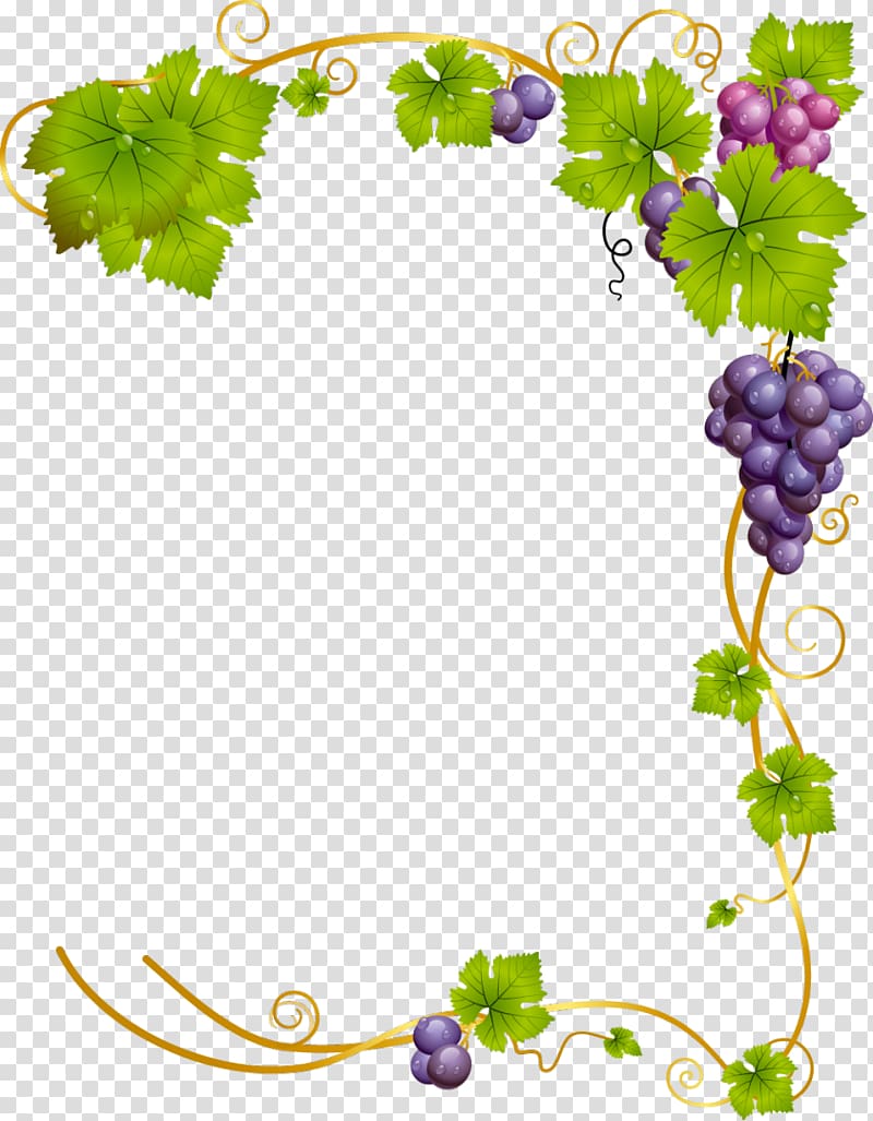 grapes , Common Grape Vine Wine, green frame transparent background PNG clipart