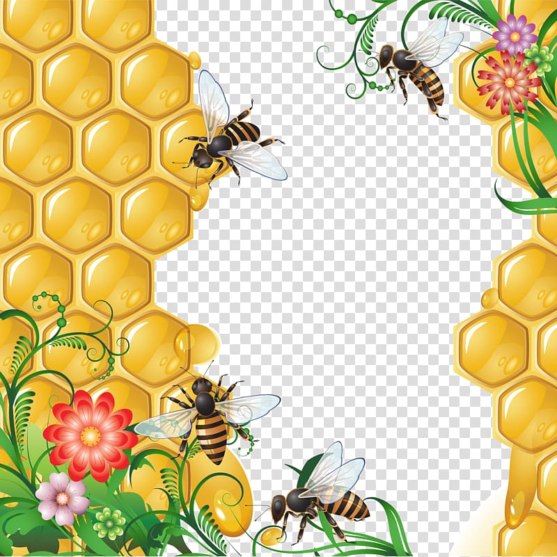 bees and honeycomb transparent background PNG clipart