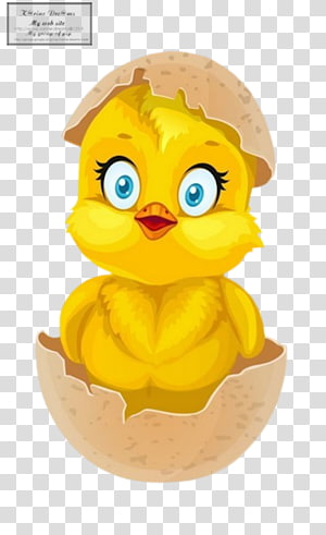 Egg , Egg transparent background PNG clipart thumbnail