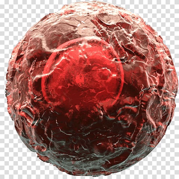 Regulatory T cell T helper 17 cell Macrophage Natural killer cell, cancer cell of globular pathogen transparent background PNG clipart