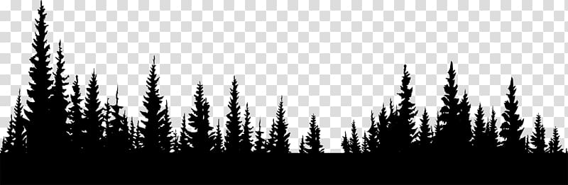 silhouette trees illustration, Forest , forest transparent background PNG clipart