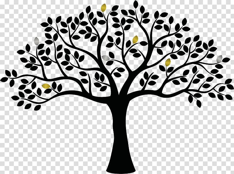 Family tree , Family transparent background PNG clipart