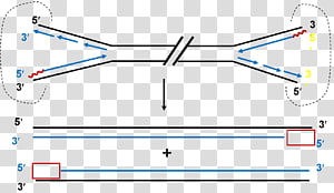 Line Point Angle Diagram, line transparent background PNG clipart thumbnail