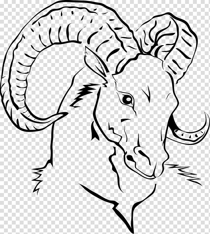 line drawing goat head transparent background PNG clipart