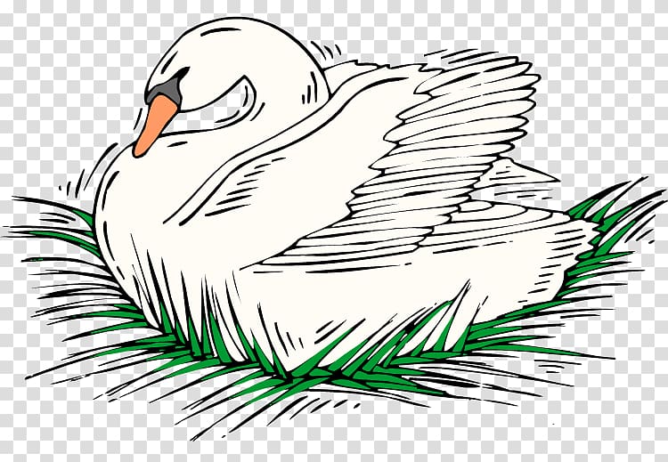 Duck , swan lake transparent background PNG clipart