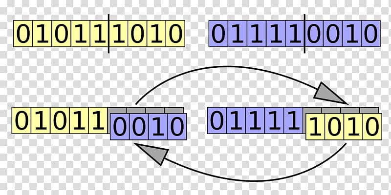 Crossover Genetic algorithm Genetics Computer Science, science transparent background PNG clipart