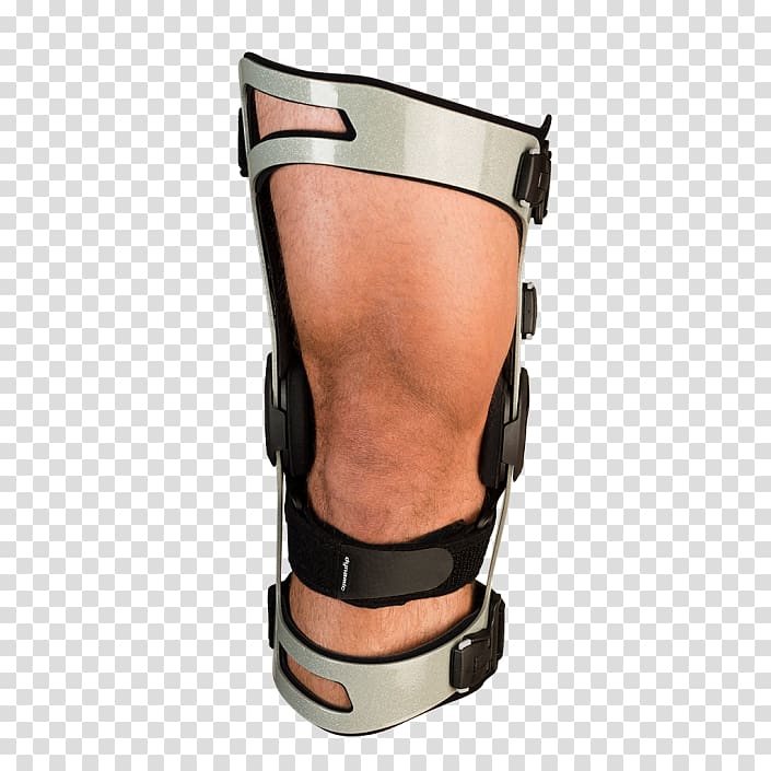 Knee Ligament Breg, Inc. Anatomy Shoulder, others transparent background PNG clipart