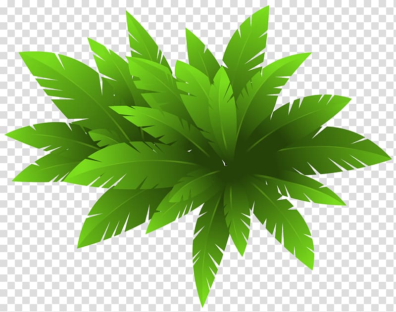 green plant illustration, Plant CorelDRAW , Green Plant Decoration transparent background PNG clipart