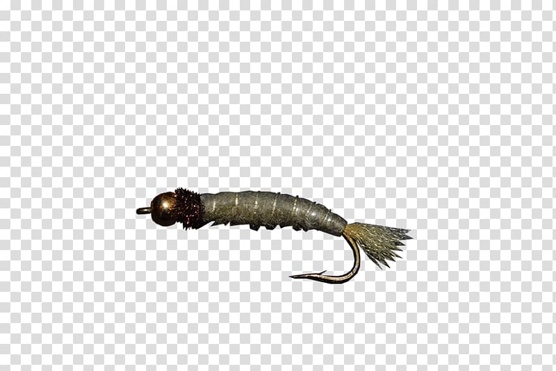 Fly fishing Crane fly Crappies Insect, Fishing transparent background PNG clipart