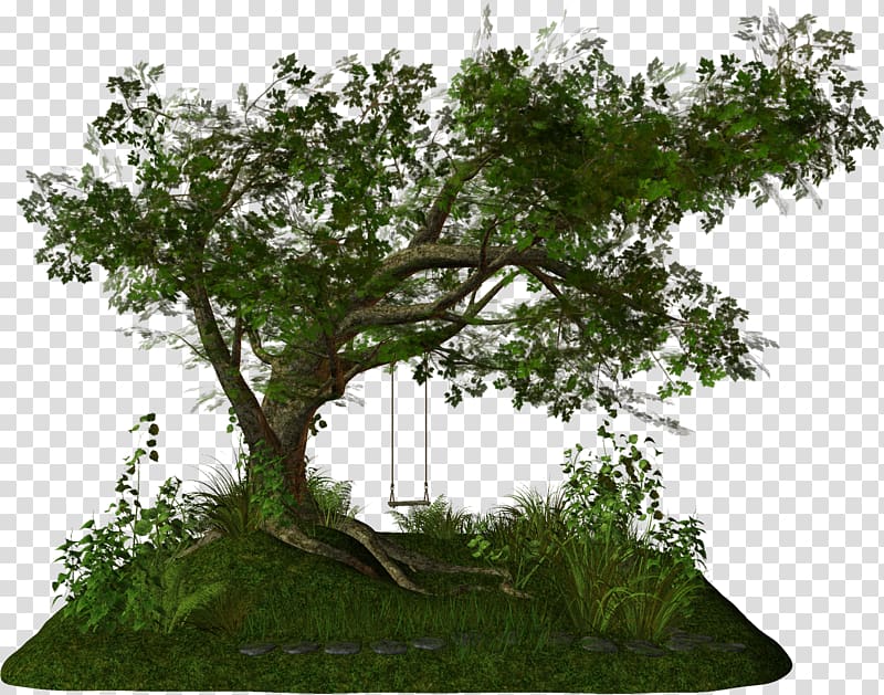 Tree , kartikeya transparent background PNG clipart