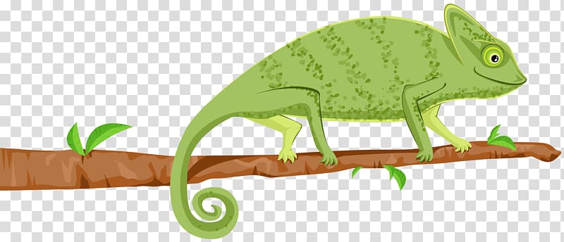 Chameleons Wall decal Etsy, others transparent background PNG clipart