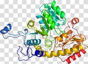 Line Point Organism , line transparent background PNG clipart thumbnail