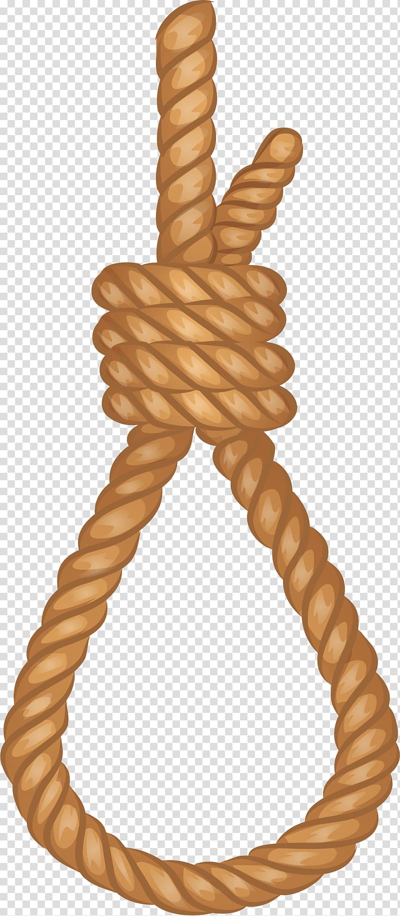 hanging rope png