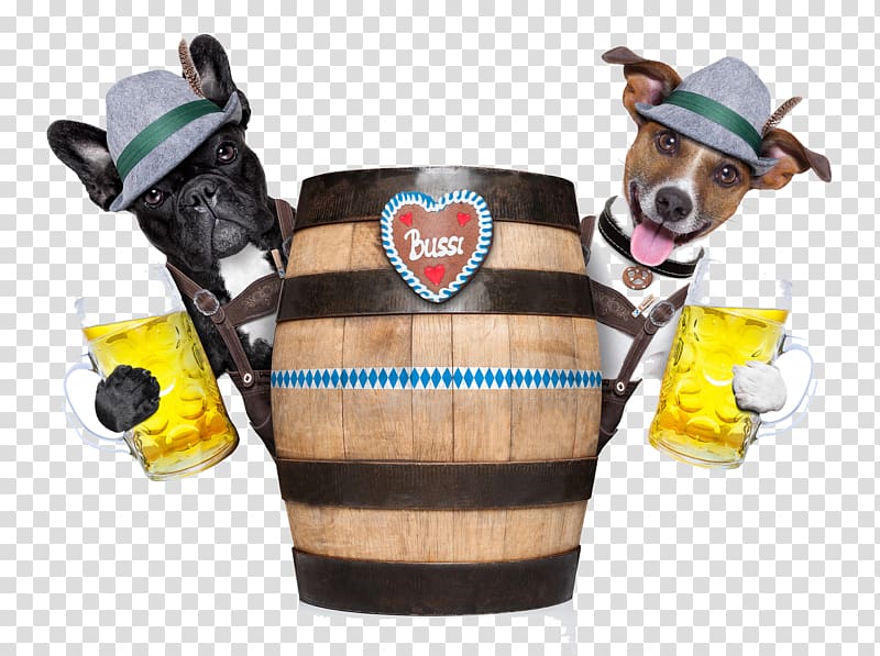Beer Oktoberfest Bavaria Dog , Beer mug transparent background PNG clipart