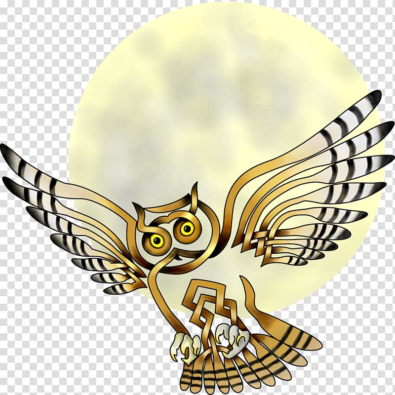 Owl Celtic knot Symbol Bird Art, knot transparent background PNG clipart