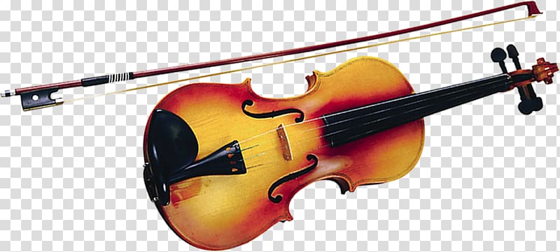 Bass violin Violone Viola Cello, A violin transparent background PNG clipart