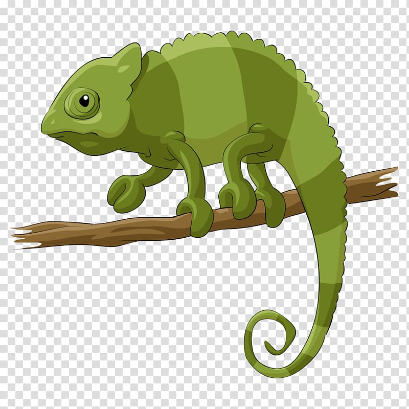 Chameleons Lizard Reptile Cartoon, green lizard transparent background PNG clipart