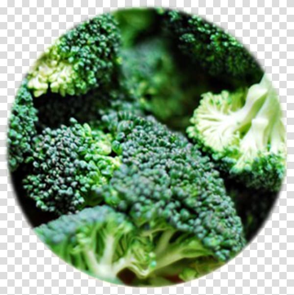 Broccoli Cabbage Cauliflower Kohlrabi Brussels sprout, broccoli transparent background PNG clipart