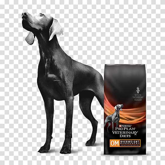 Weimaraner Nestlé Purina PetCare Company Dog Food Dog breed Veterinarian, health transparent background PNG clipart
