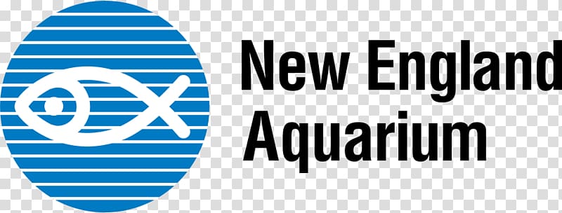 New England Aquarium Historic New England Giant Ocean Tank Harbor seal, New England transparent background PNG clipart