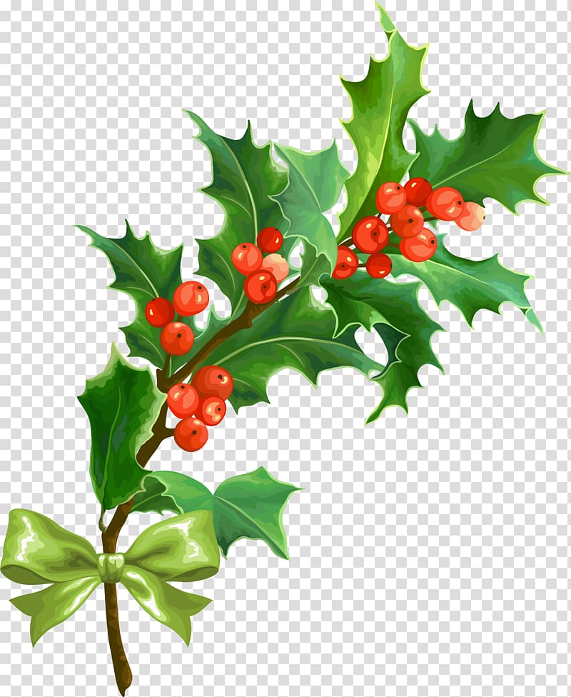 Christmas Holly Leaf, Creative Christmas transparent background PNG clipart