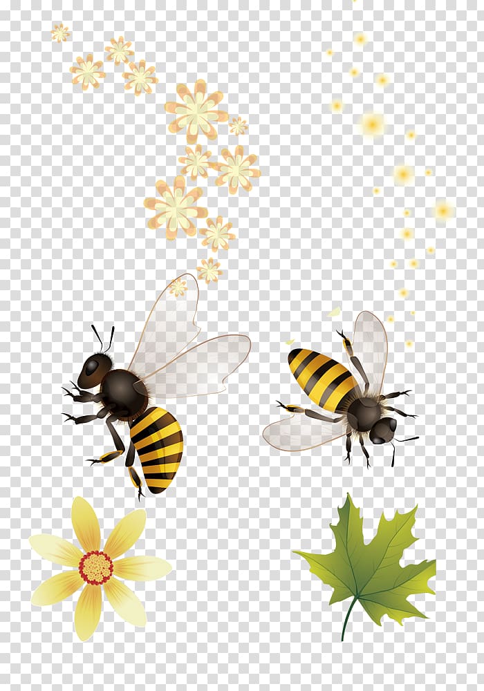 Honey bee Apidae Nectar, Cute bee transparent background PNG clipart