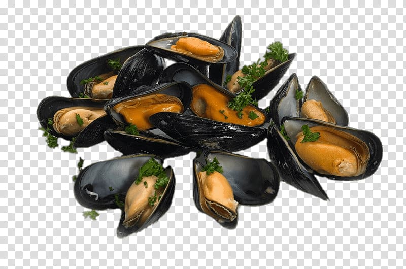 clams, Cooked Mussels With Parsley transparent background PNG clipart