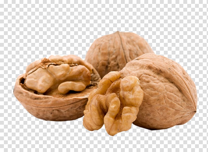 three walnuts illustration, Thiamine Food Vitamin Nuts, Dry walnuts transparent background PNG clipart
