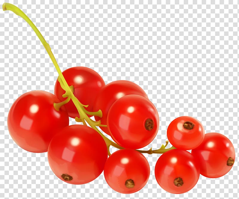 Redcurrant Blackcurrant Berry , ice cube transparent background PNG clipart