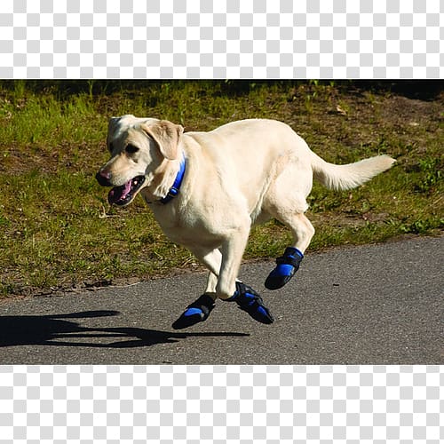 Labrador Husky Dog booties Paw Pet, boot transparent background PNG clipart