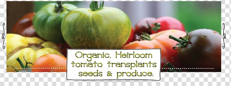 Heirloom tomato Organic food Heirloom plant, cherry tomato transparent background PNG clipart