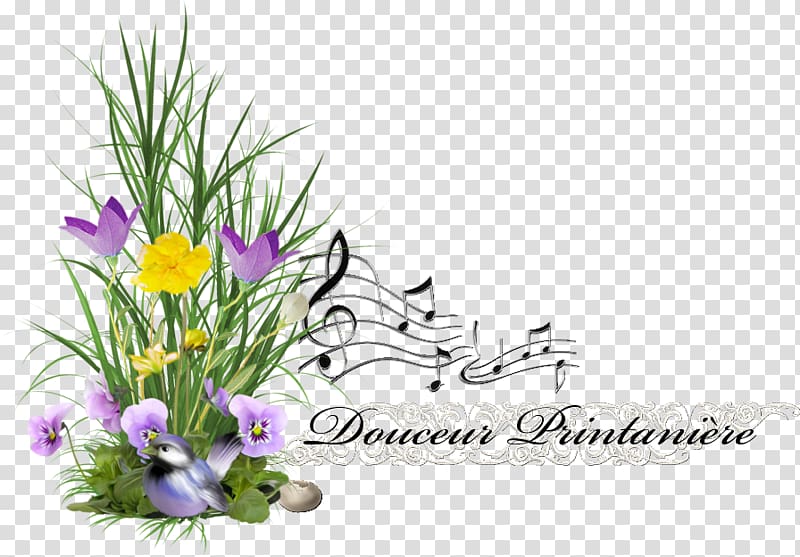 Floral design Cut flowers Banjo uke Mini-USB, flower transparent background PNG clipart