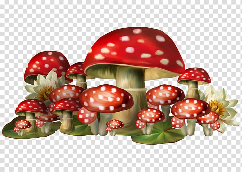 red-and-white mushrooms ornament, Mushroom Amanita muscaria , Red mushroom transparent background PNG clipart