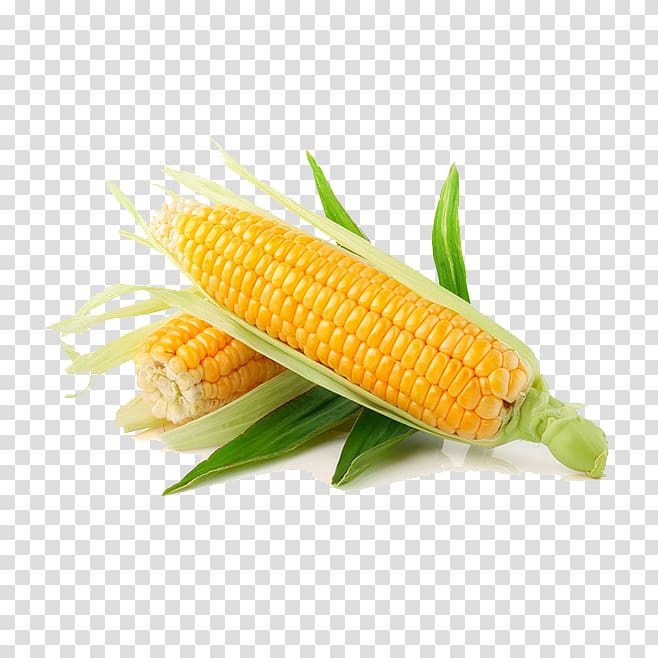 Maize Vegetable Sweet corn Corn kernel Fruit, corn transparent background PNG clipart