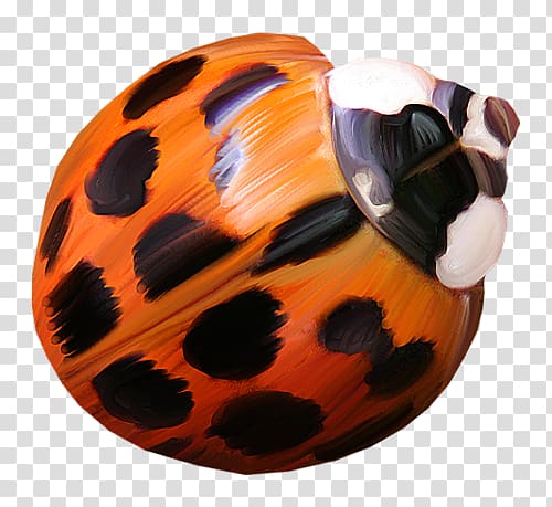 Ladybird Coccinella septempunctata , others transparent background PNG clipart