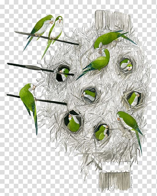 Bird nest Monk parakeet Parrot, Bird nest transparent background PNG clipart