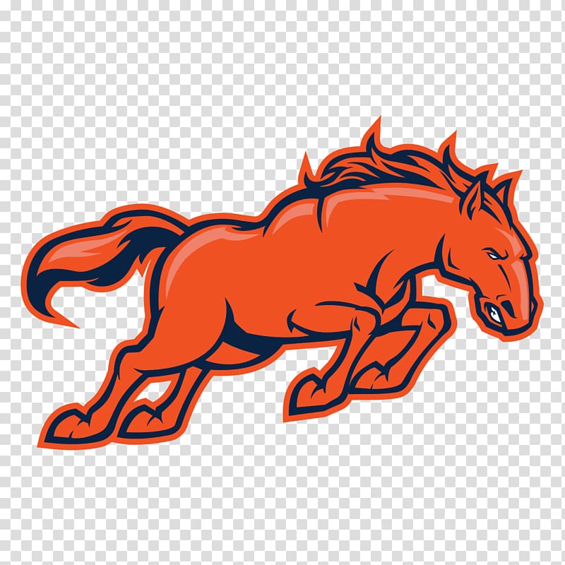 Denver Broncos New England Patriots New York Jets NFL Head coach, denver broncos transparent background PNG clipart