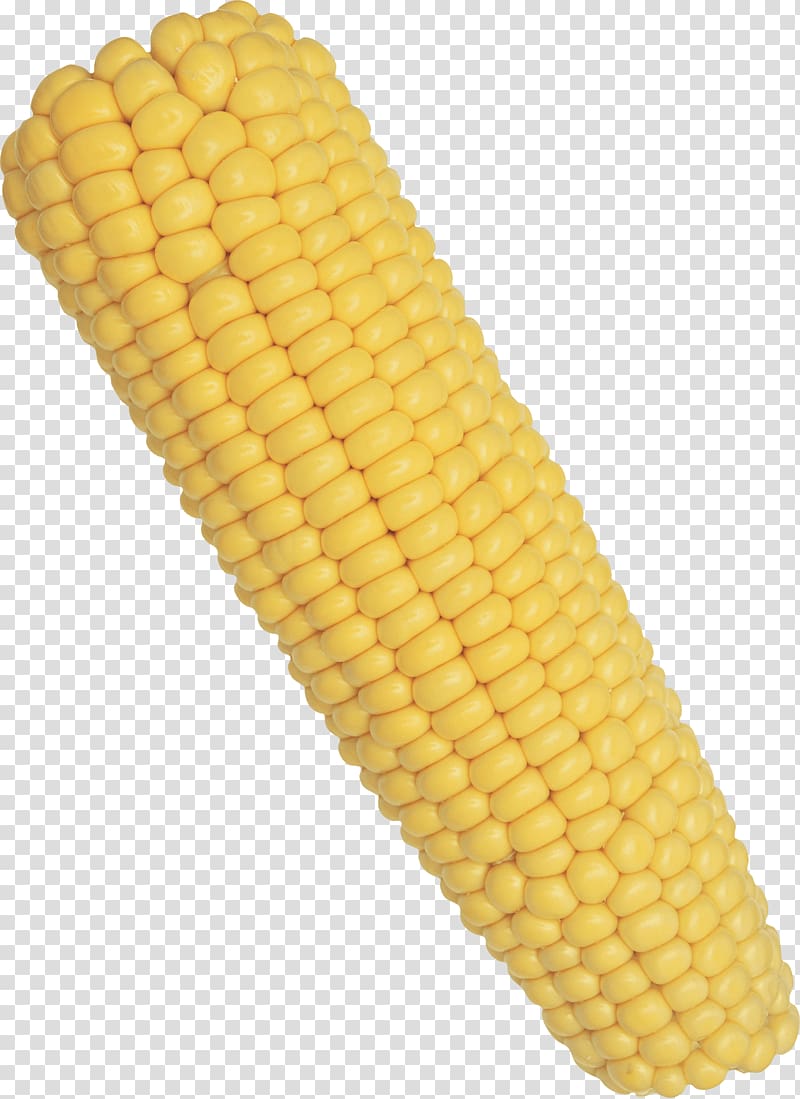 corn art, Corn Solo transparent background PNG clipart