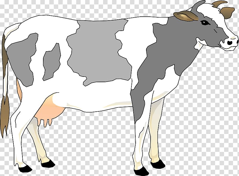 Highland cattle Guernsey cattle Free content , Free Cow transparent background PNG clipart