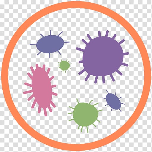 Bacteria Microorganism Virus , microscope transparent background PNG clipart