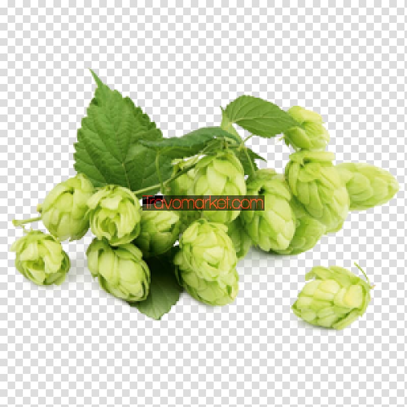Beer Brewing Grains & Malts Ale Extract, beer transparent background PNG clipart