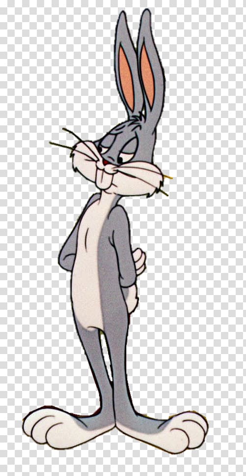 Bugs Bunny Lola Bunny Daffy Duck Cartoon Rabbit, bugs transparent background PNG clipart