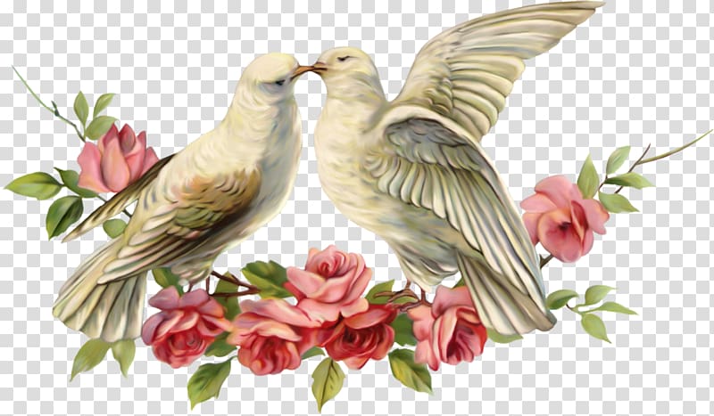 love birds kissing clipart wedding couple