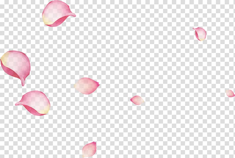 pink floating rose petals transparent background PNG clipart