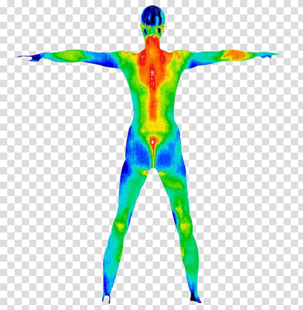 Thermography Sunshine Healing Arts, Acupuncture & Wellness Center Human body Medicine Medical diagnosis, others transparent background PNG clipart