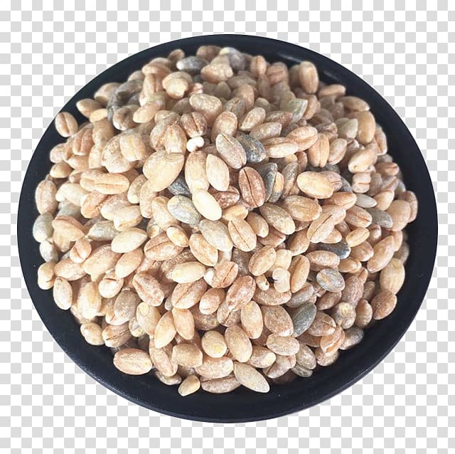 Tibetan cuisine Tsampa Highland barley Cereal, Barley grains transparent background PNG clipart